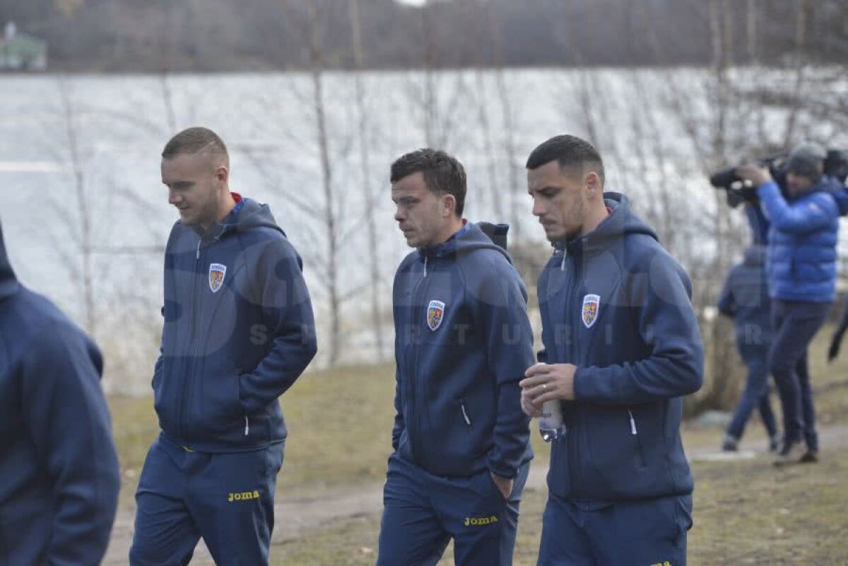 SUEDIA - ROMÂNIA // GALERIE FOTO „Tricolorii” s-au relaxat cu câteva ore înaintea debutului în preliminariile EURO 2020. Dennis Man a condus plutonul