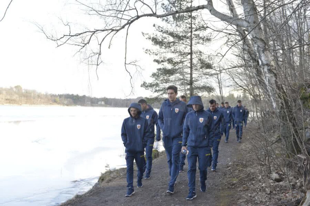 SUEDIA - ROMÂNIA // GALERIE FOTO „Tricolorii” s-au relaxat cu câteva ore înaintea debutului în preliminariile EURO 2020. Dennis Man a condus plutonul