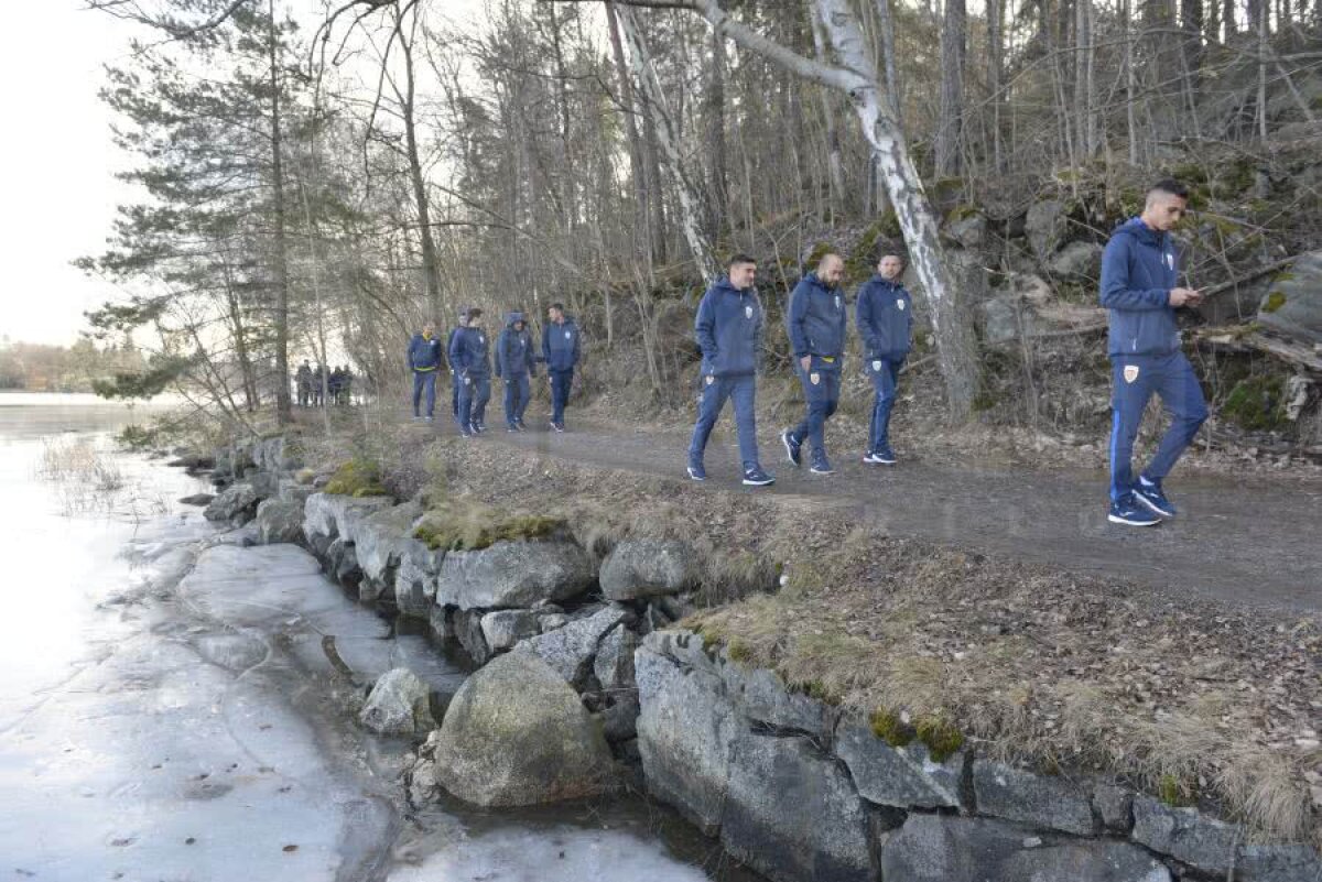 SUEDIA - ROMÂNIA // GALERIE FOTO „Tricolorii” s-au relaxat cu câteva ore înaintea debutului în preliminariile EURO 2020. Dennis Man a condus plutonul