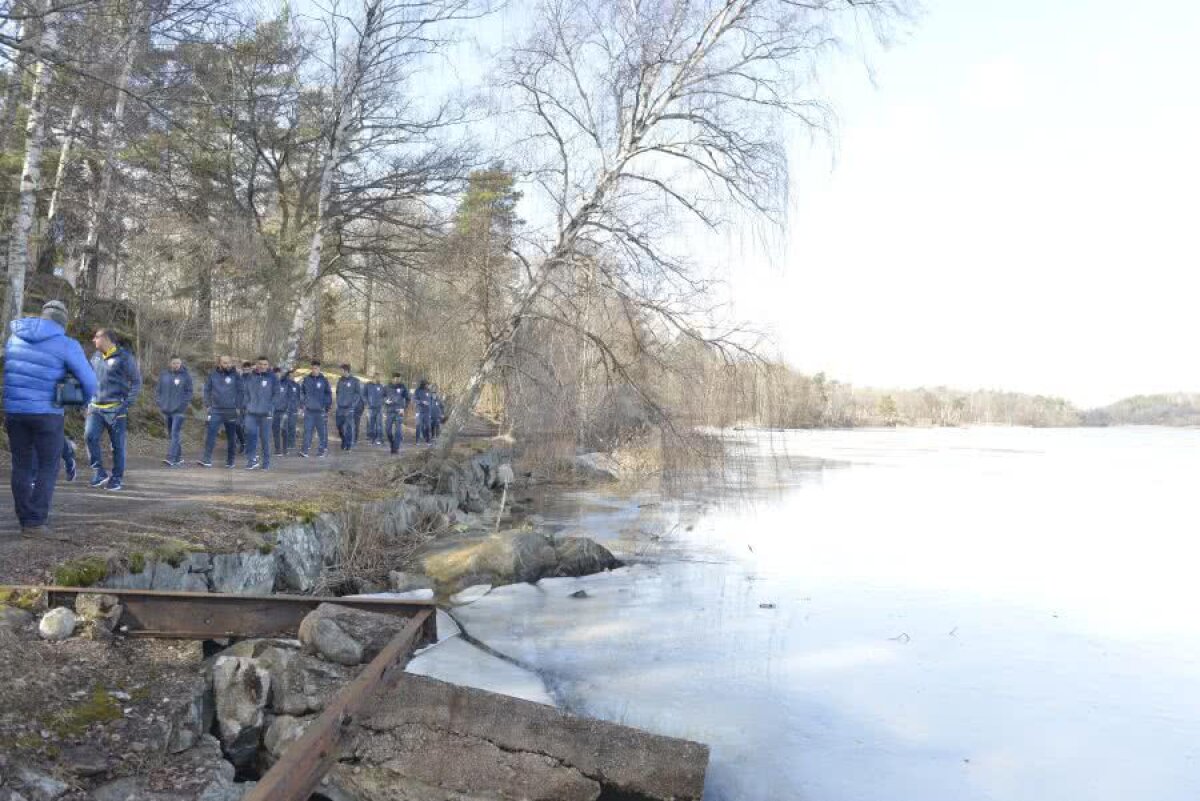 SUEDIA - ROMÂNIA // GALERIE FOTO „Tricolorii” s-au relaxat cu câteva ore înaintea debutului în preliminariile EURO 2020. Dennis Man a condus plutonul