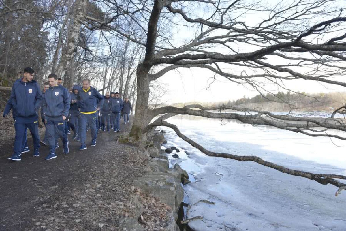 SUEDIA - ROMÂNIA // GALERIE FOTO „Tricolorii” s-au relaxat cu câteva ore înaintea debutului în preliminariile EURO 2020. Dennis Man a condus plutonul