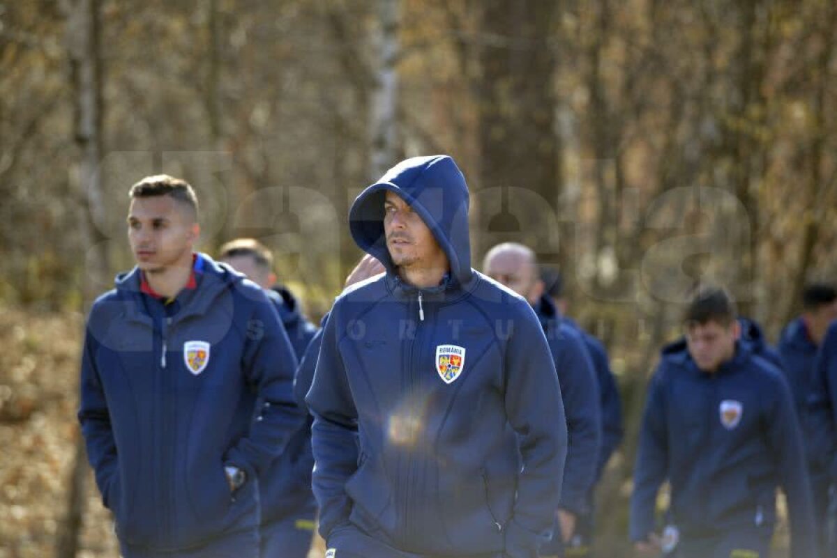 SUEDIA - ROMÂNIA // GALERIE FOTO „Tricolorii” s-au relaxat cu câteva ore înaintea debutului în preliminariile EURO 2020. Dennis Man a condus plutonul