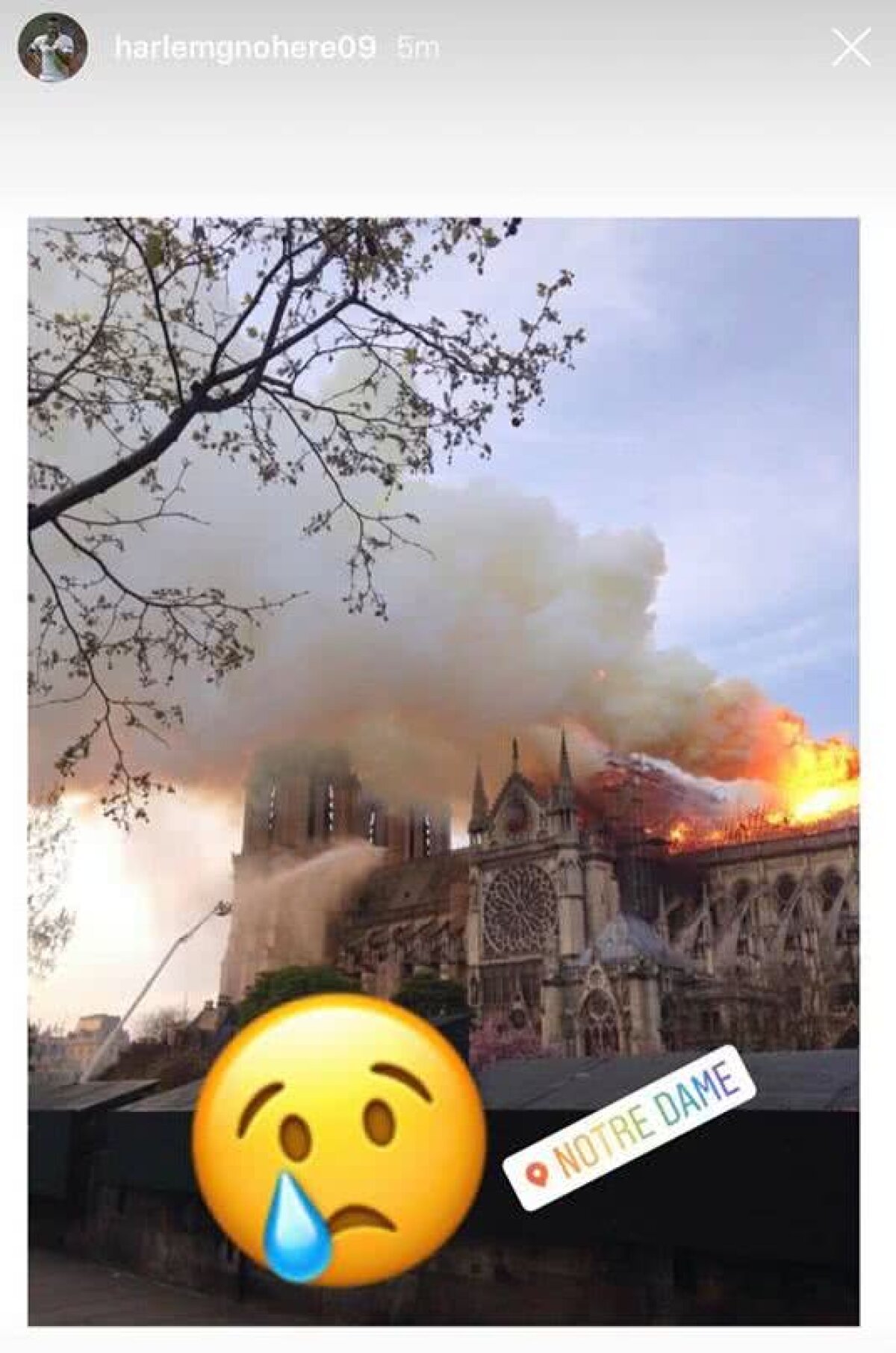 Cathédrale Notre-Dame de Paris // Incendiu major la Catedrala Notre-Dame din Paris!