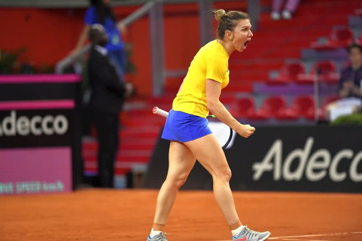 FRANȚA - ROMÂNIA 3-2, FED CUP // VIDEO+FOTO Simona Halep și Monica Niculescu pierd meciul decisiv! România se oprește în semifinalele Fed Cup