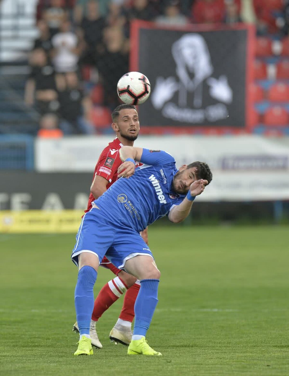 FC VOLUNTARI - DINAMO 1-2 // FOTO + VIDEO „Câinii” câștigă pe final un meci anost, salvat de ultimele 10 minute: Ricardo Grigore și Montini au adus victoria