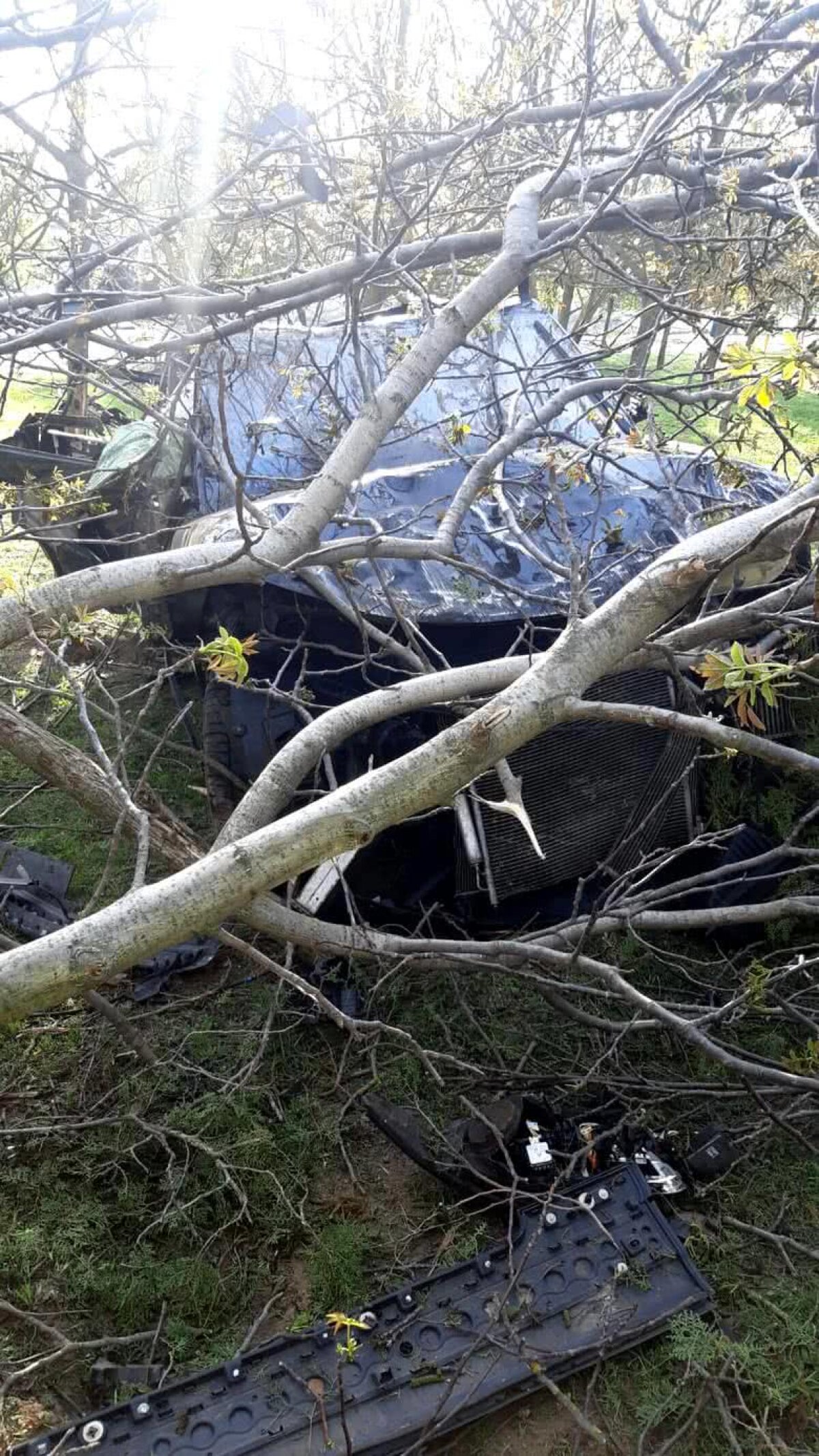 Răzvan Ciobanu, creatorul de modă, a murit într-un accident rutier! Titi Aur: „Dacă ar fi avut centură de siguranță, sunt aproape sigur că era în viață”