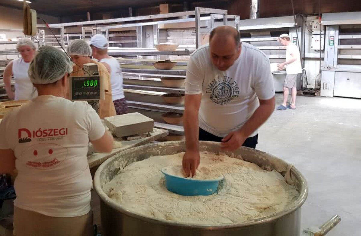 EXCLUSIV VIDEO+FOTO Laszlo Dioszegi, patronul lui Sepsi, nu mai suportă fițele fotbaliștilor: ”La brutărie cu ei, să vadă cum se câștigă o pâine!”