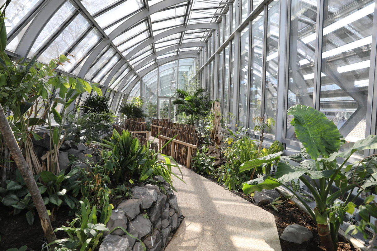 VIDEO ARENA SIMONNE MATHIEU // Bijuteria care o așteaptă pe Simona Halep la Roland Garros » Cum s-a construit de la zero „cea mai frumoasă arenă din lume!”: sculpturi de Auguste Rodin și mii de metri pătrați de verdeață!