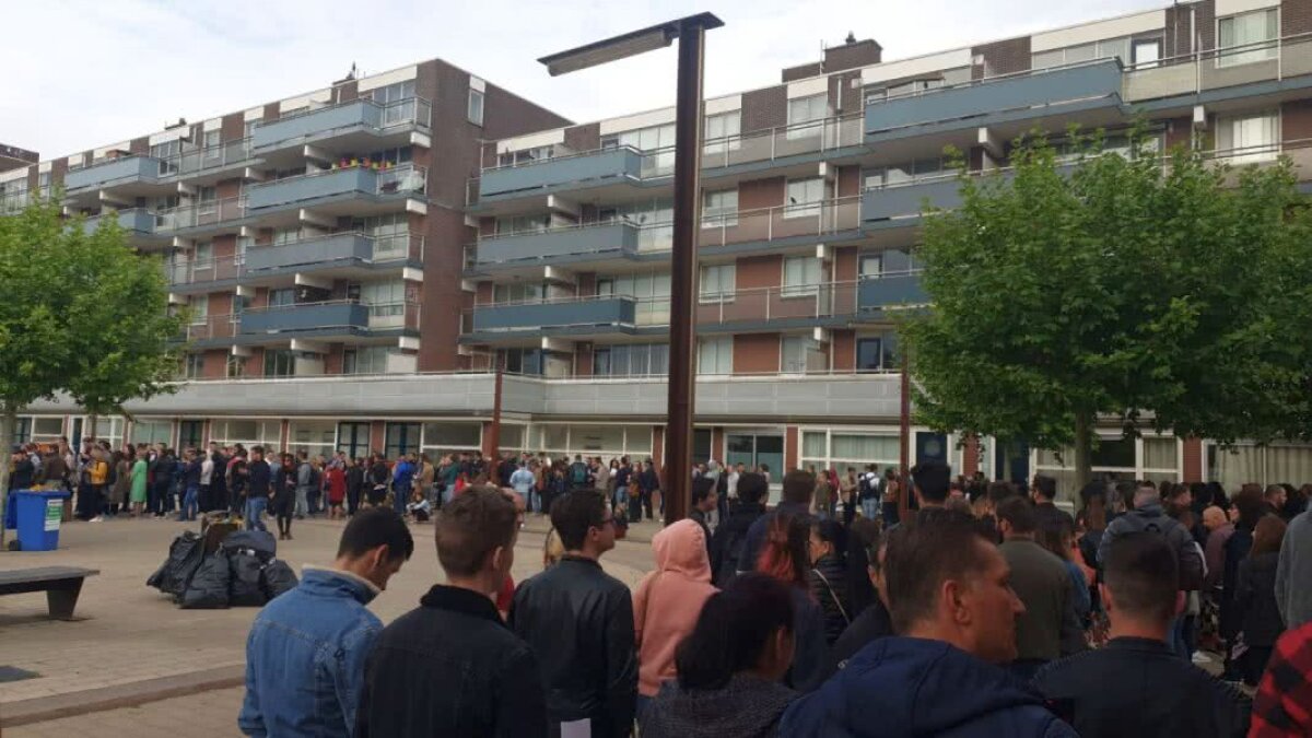 ALEGERI EUROPARLAMENTARE 2019 + REFERENDUM PE JUSTIȚIE // Rezultatele provizorii ale alegerilor: PSD, pe locul 2