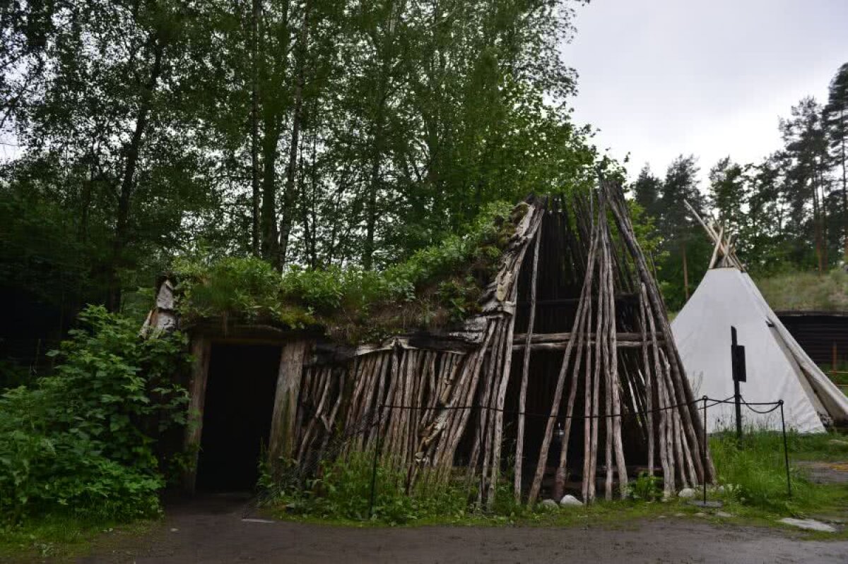 CORESPONDENȚĂ DIN OSLO // Vikingi pe curent electric » Reportaj din capitala Norvegiei, unde România își joacă șansele pentru EURO 2020