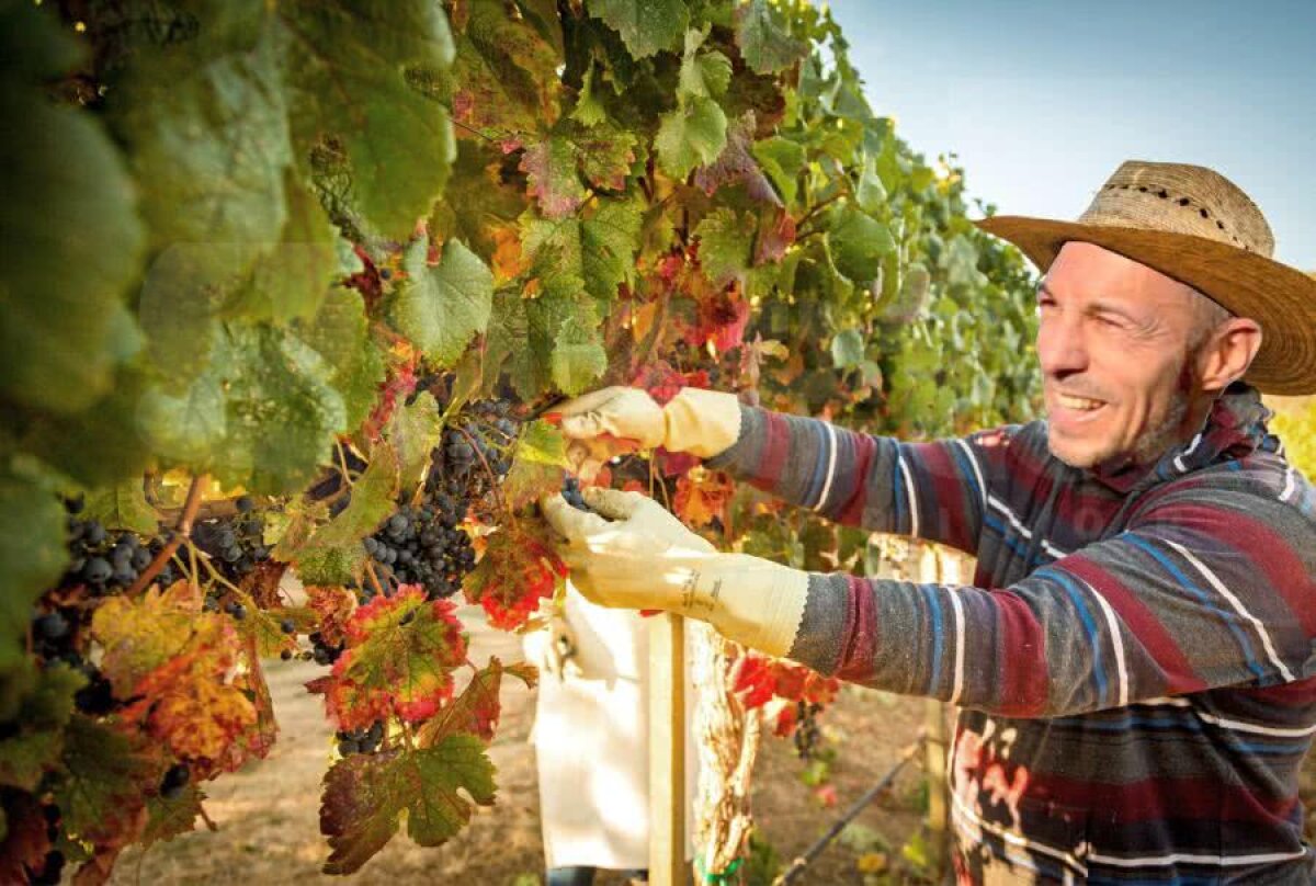 Fotografia zilei - cele mai interesante imagini ale lunii iunie 2019