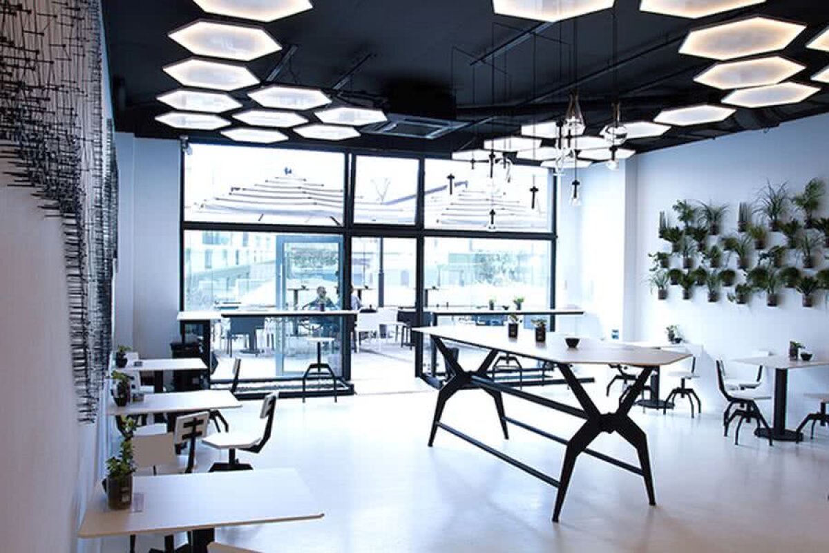 FOTO Laboratorul de cafele » Afacerea inedită a lui Dusan Lajovici + Ce business-uri și-au creat Simona Halep și Novak Djokovici