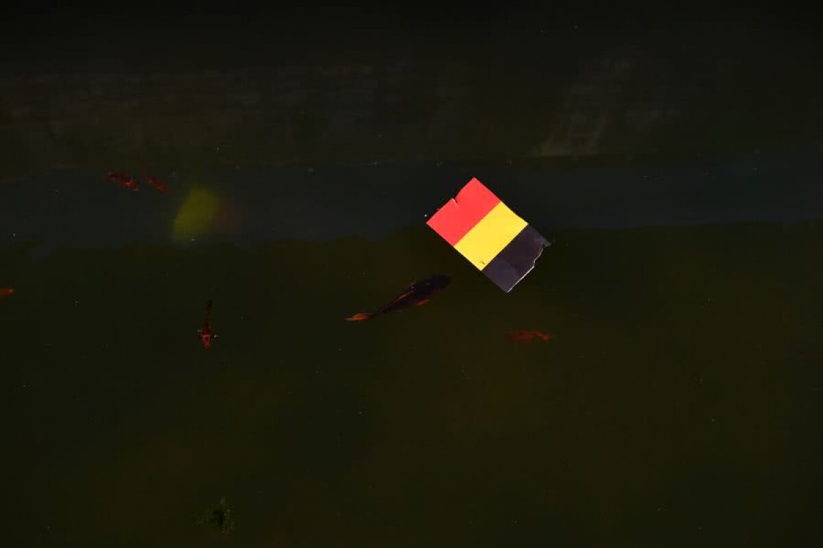 FRANȚA U21 - ROMÂNIA U21 // Stadion de semifinală: șanț cu pești și minciog » Ce trebuie să facă „tricolorii” pentru a juca la Reggio Emilia