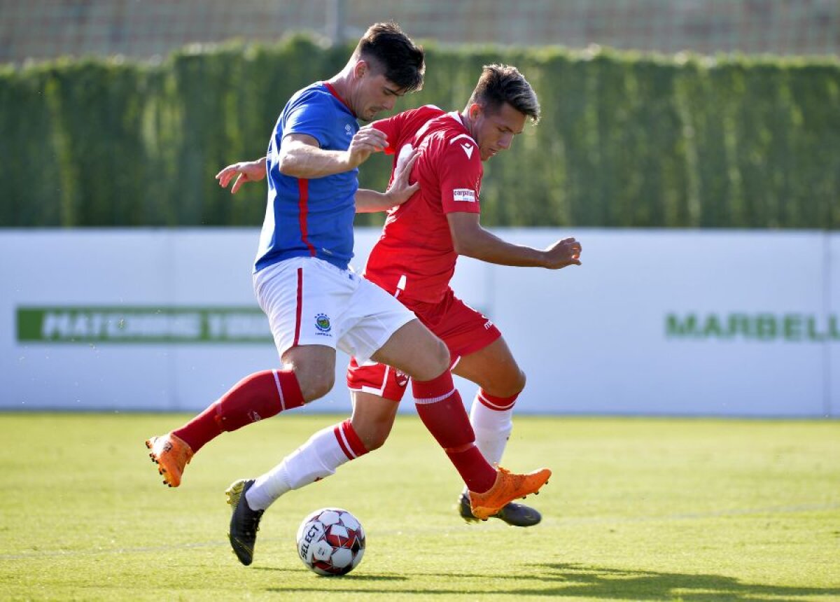 DINAMO -  LINFIELD 2-0 // FOTO + VIDEO Victorie cu scandal la debutul lui Neagoe! Dinamo învinge campioana Irlandei de Nord, după un meci cu scântei