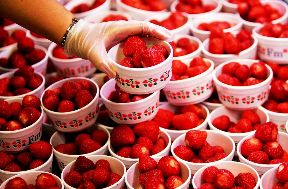 WIMBLEDON // VIDEO Începe cel mai elegant și excentric turneu de Grand Slam! De la scandalul tălpilor portocalii ale lui Roger Federer la cele 23 de tone de căpșune consumate