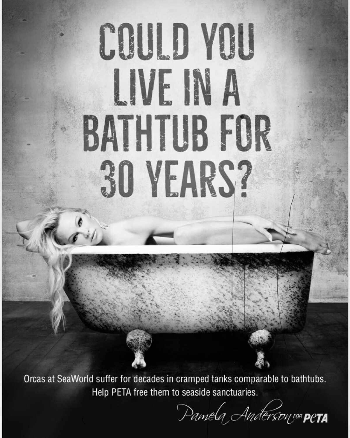 GALERIE FOTO Pamela Anderson a trecut peste despărțirea de Adil Rami și a pozat complet dezbrăcată: „Tu poți trăi 30 de ani într-o cadă?”