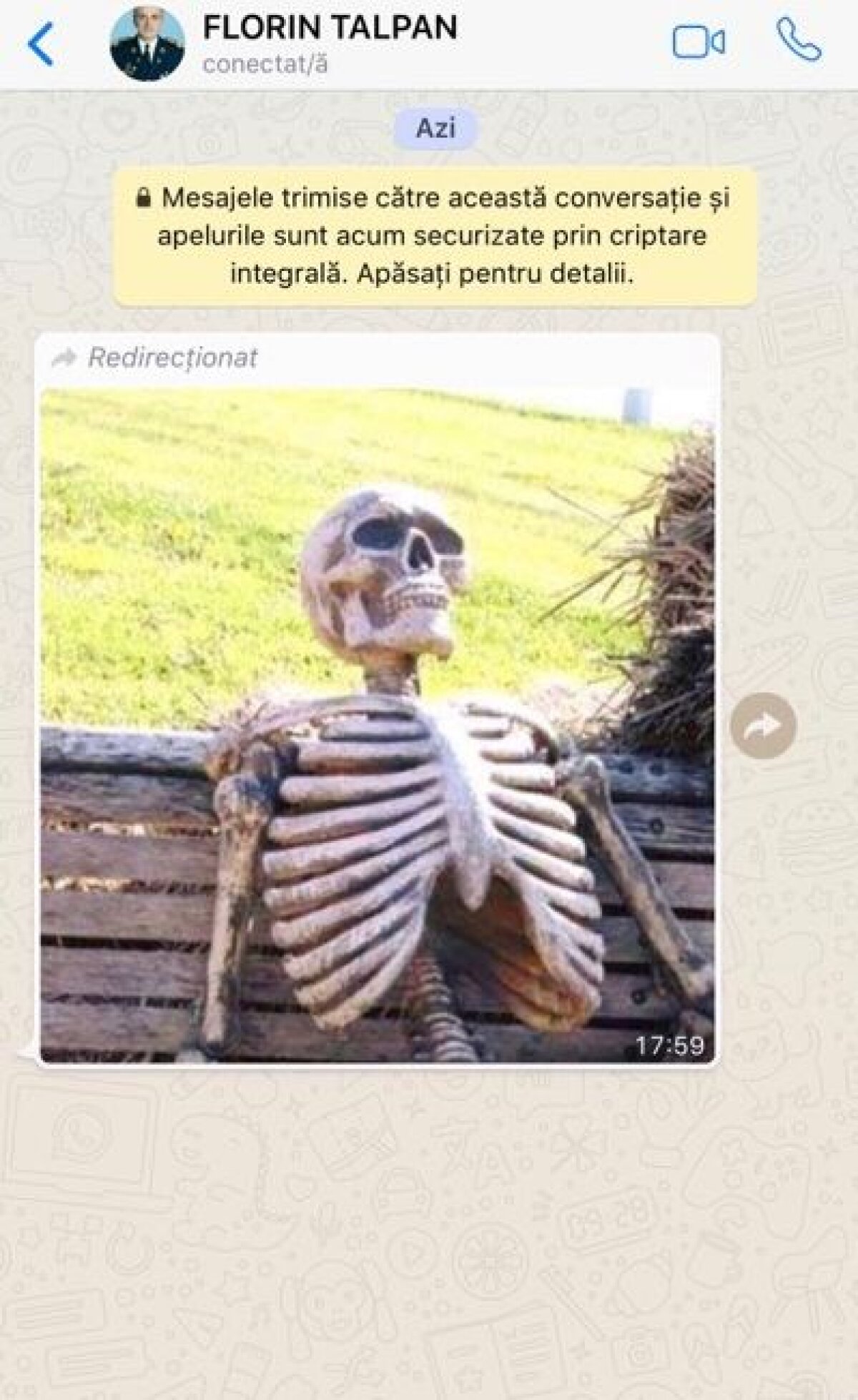 CSA STEAUA ARE PALMARESUL // FOTO Florin Talpan, derapaj după victoria obținută de CSA Steaua: a trimis jurnaliștilor mesaje obscene anti-Gigi Becali