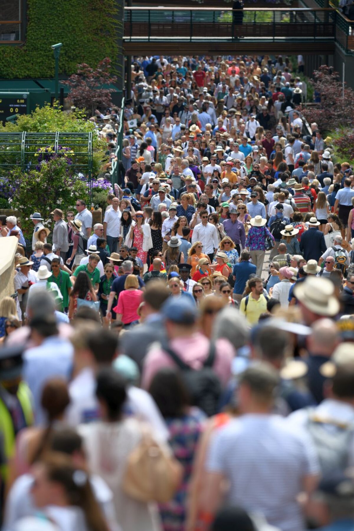 SIMONA HALEP - SERENA WILLIAMS // VIDEO + FOTO Fanii se adună pentru finala de la Wimbledon! Cum arată arena înainte de start + toate biletele sunt epuizate