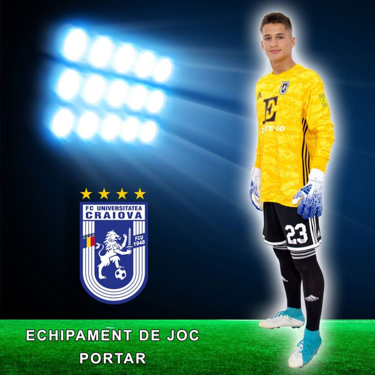 FOTO Adrian Mititelu a prezentat prima imagine cu noul stadion pe care vrea să-l construiască în Bănie