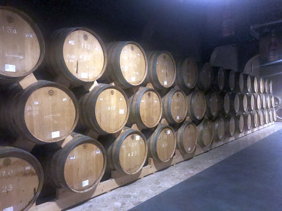 ALASHKERT - FCSB //FOTO  Incursiune printre butoaie de coniac » GSP a vizitat celebra fabrică din Armenia, unde Ion Iliescu și Traian Băsescu stau la loc de cinste