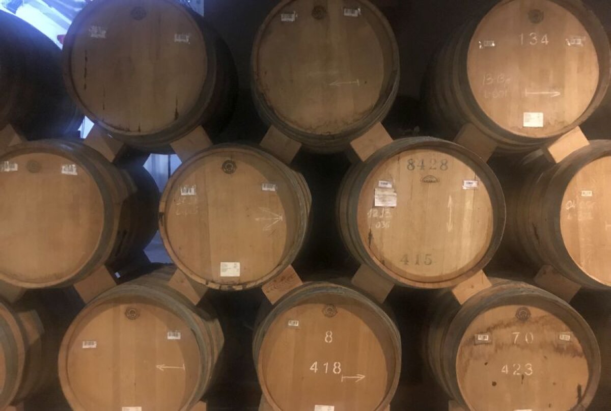 ALASHKERT - FCSB //FOTO  Incursiune printre butoaie de coniac » GSP a vizitat celebra fabrică din Armenia, unde Ion Iliescu și Traian Băsescu stau la loc de cinste