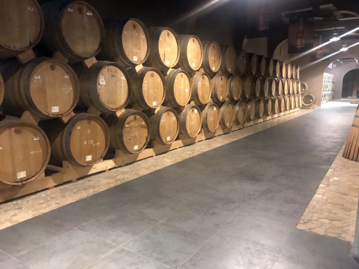 ALASHKERT - FCSB //FOTO  Incursiune printre butoaie de coniac » GSP a vizitat celebra fabrică din Armenia, unde Ion Iliescu și Traian Băsescu stau la loc de cinste