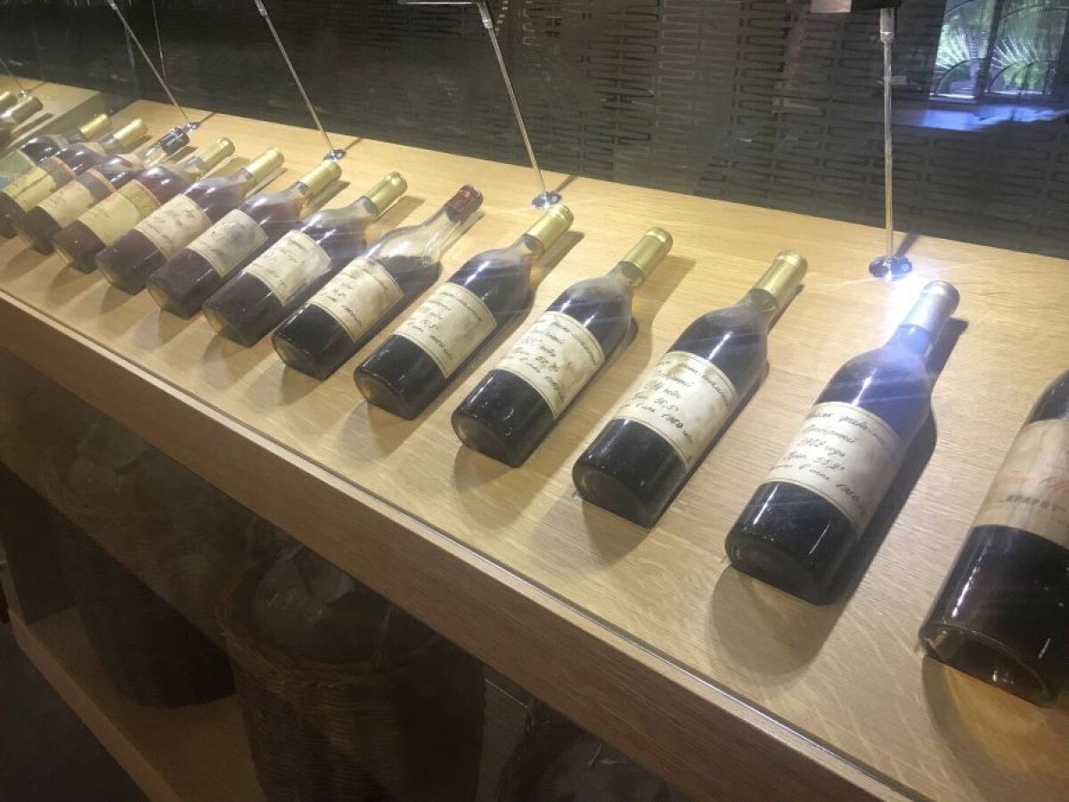 ALASHKERT - FCSB //FOTO  Incursiune printre butoaie de coniac » GSP a vizitat celebra fabrică din Armenia, unde Ion Iliescu și Traian Băsescu stau la loc de cinste