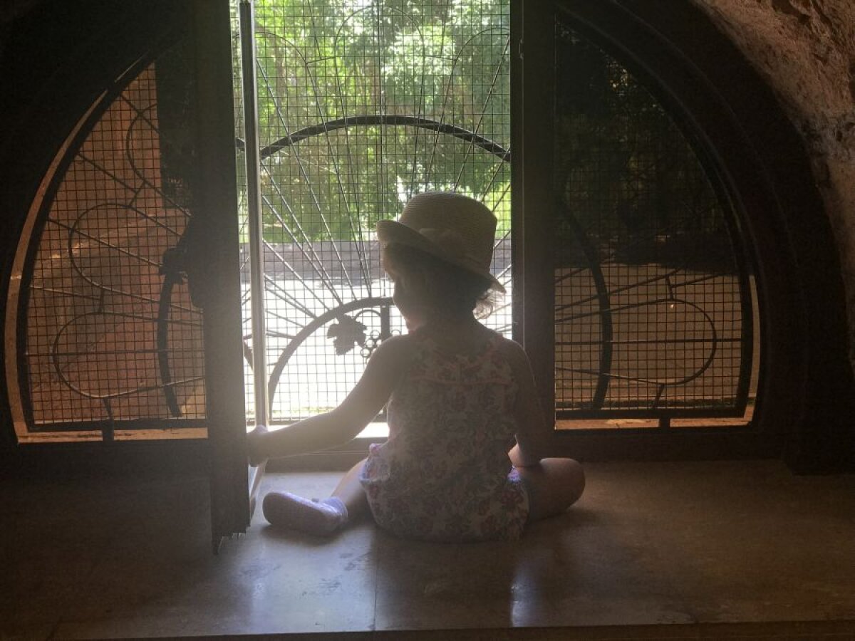 ALASHKERT - FCSB //FOTO  Incursiune printre butoaie de coniac » GSP a vizitat celebra fabrică din Armenia, unde Ion Iliescu și Traian Băsescu stau la loc de cinste