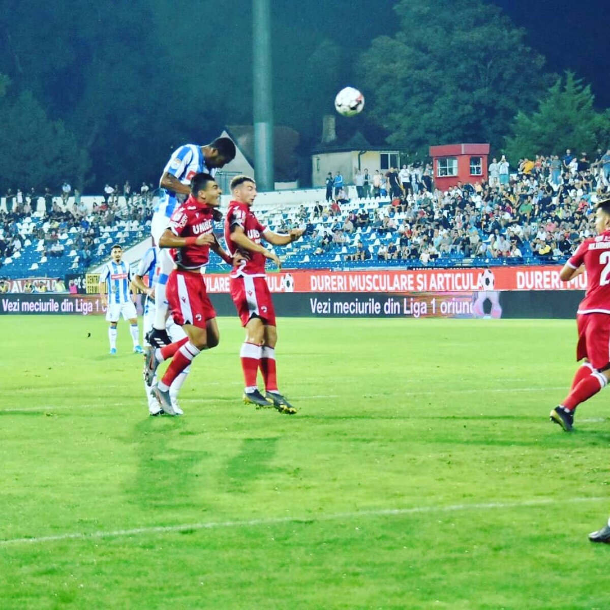 POLI IAȘI - DINAMO 2-0 // VIDEO+FOTO Râșii de pluș » „Câinii” ajung într-o situație dezastruoasă, ieșenii stabilesc un nou record!