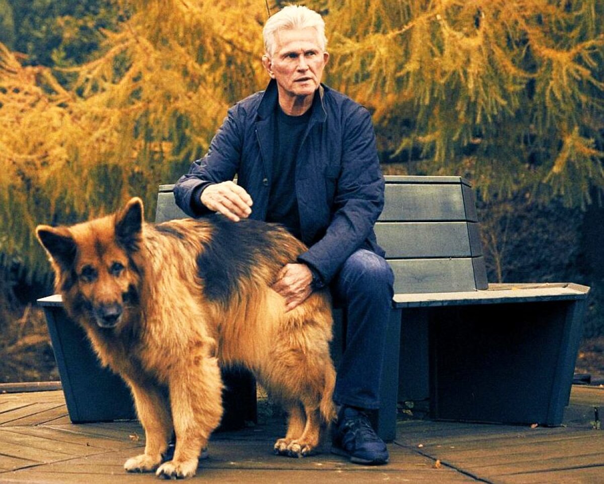 Fotografia zilei - cele mai interesante imagini ale lunii noiembrie 2019