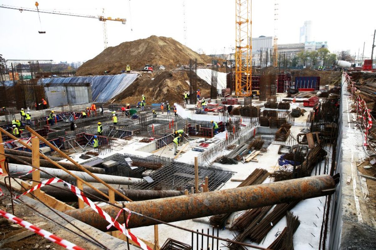 Fotografia zilei - cele mai interesante imagini ale lunii noiembrie 2019