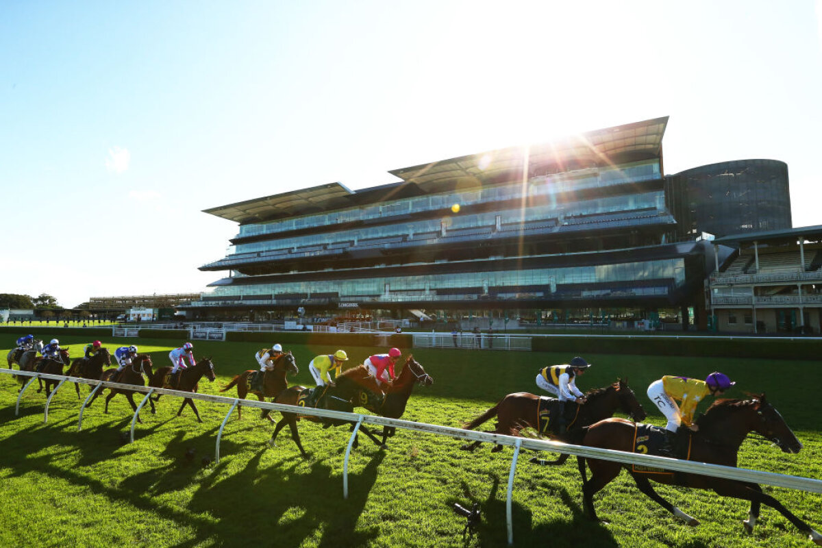 Fotografia zilei - GSP îți oferă zilnic cele mai interesante imagini ale lunii aprilie 2020 