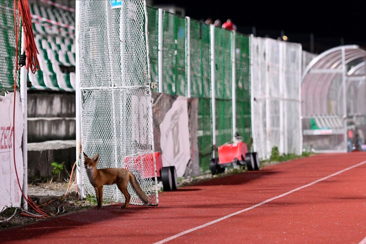 Fotografia zilei - GSP îți oferă zilnic cele mai interesante imagini din sport ale lunii iunie 2020