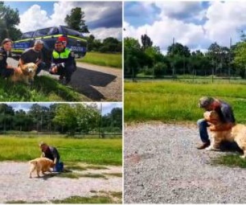 Un câine pierdut în 2022, găsit de pompierii din Caraş-Severin doi ani mai ...