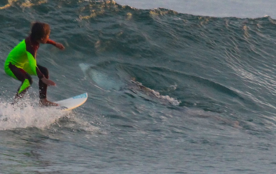 FOTO » Imagini incredibile din Australia! Un surfer de 10 ani, la un pas să fie ucis de un rechin