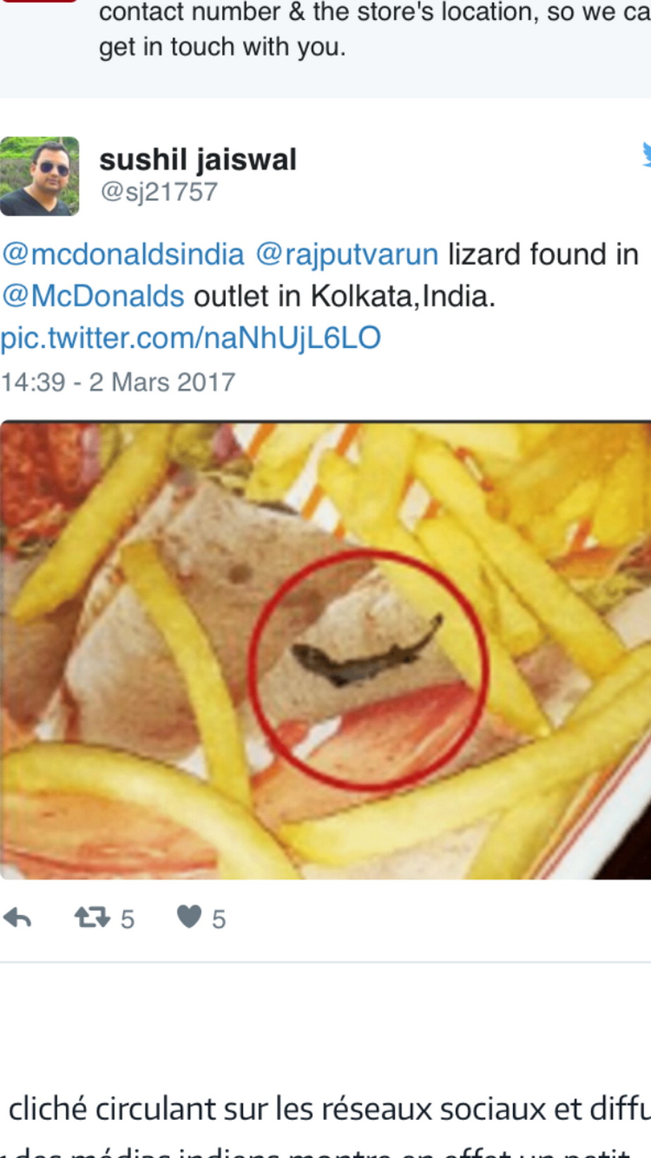 Un indian a găsit o șopârlă în cartofii de la McDonald's