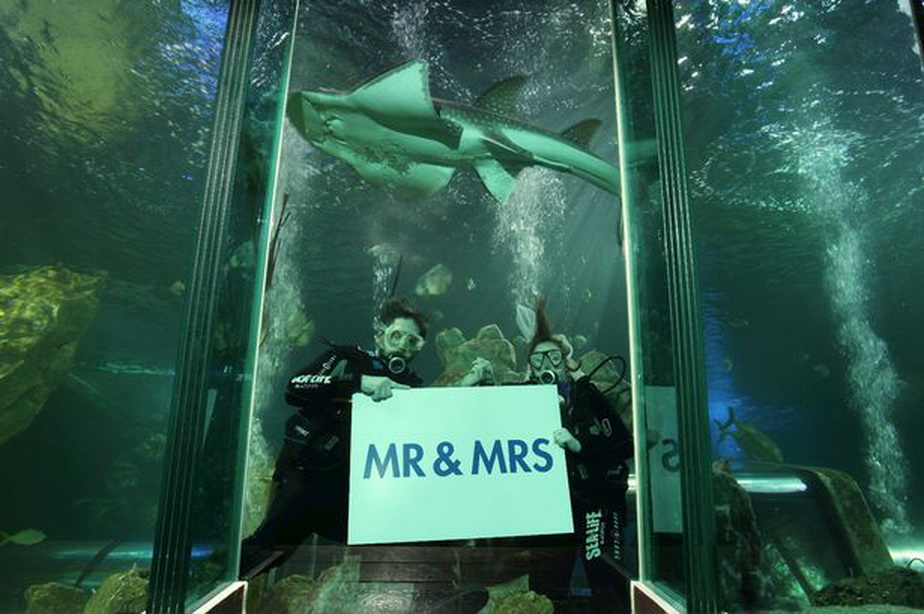FOTO » Trendul momentului: nunțile subacvatice