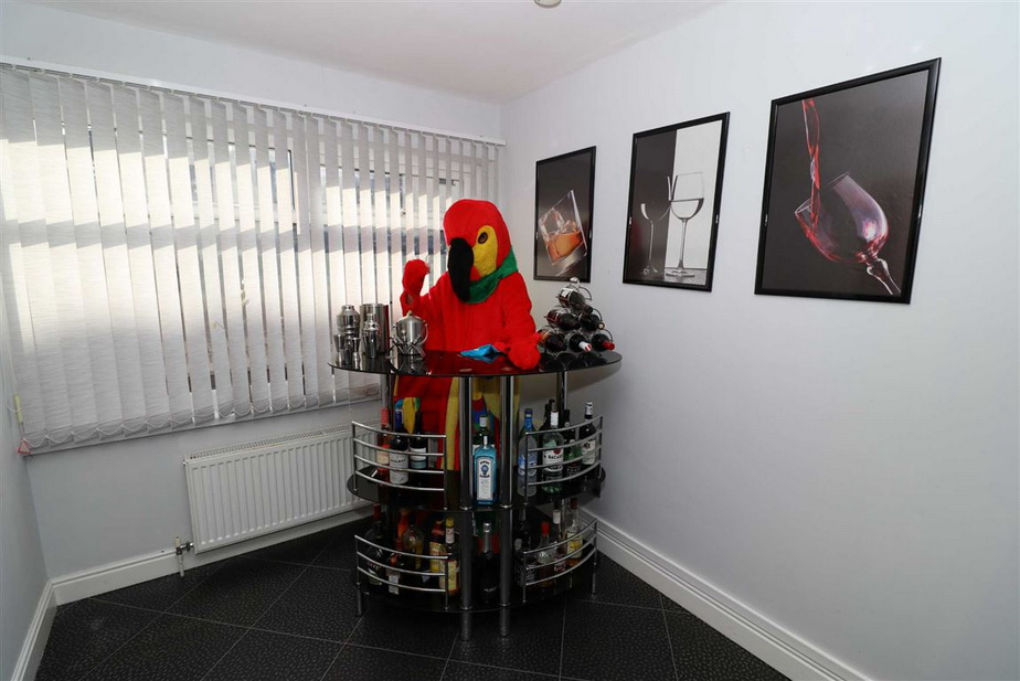 GALERIE FOTO » S-a îmbrăcat în papagal pentru a reuși să vândă o casă