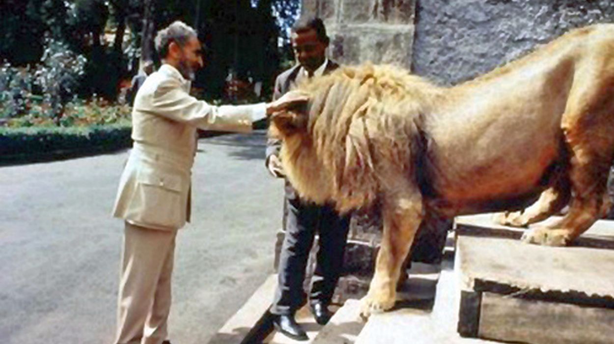 h.i.m. haile selassie i lion1