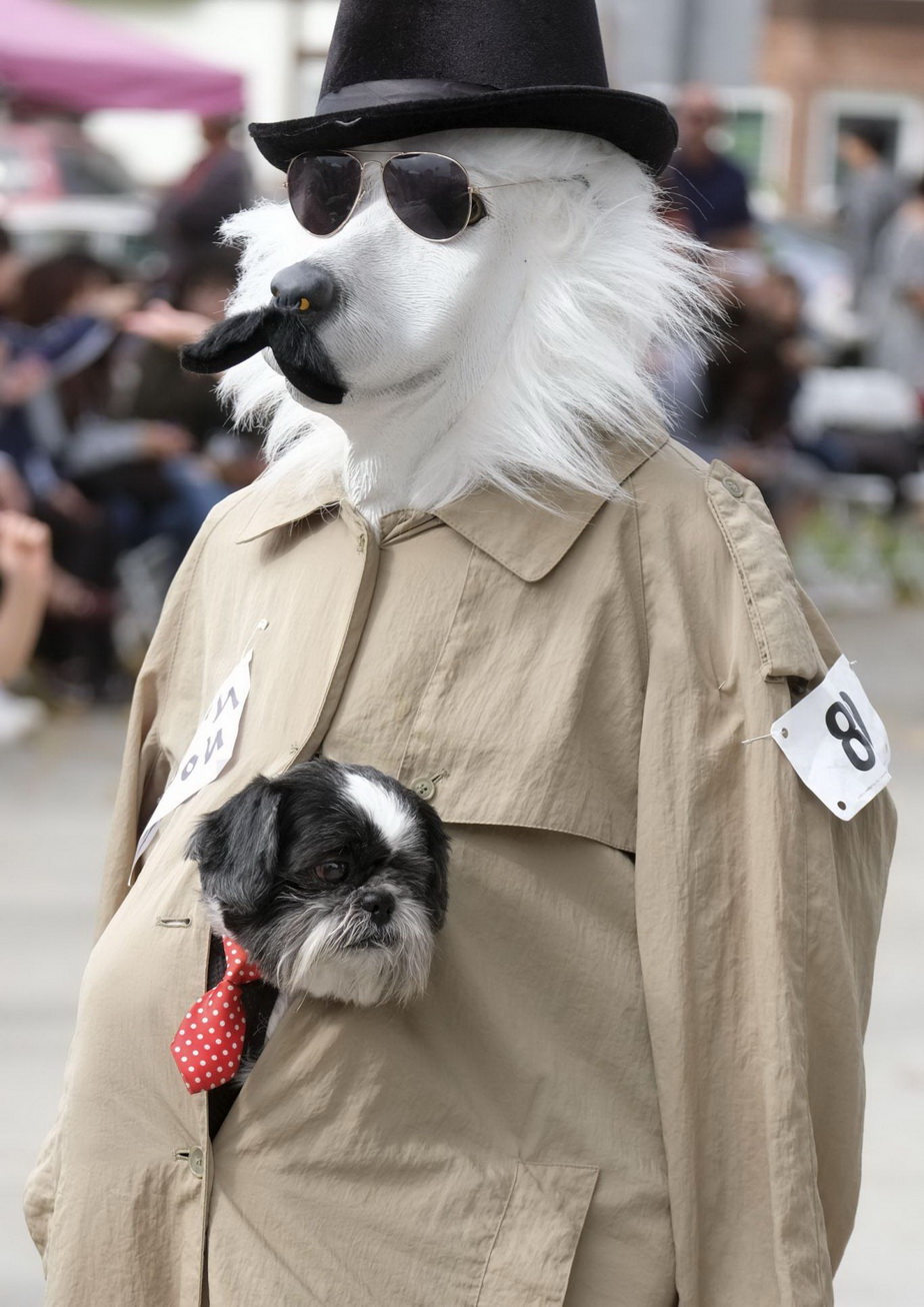 Paradă canină spectaculoasă în California cu ocazia Halloween-ului