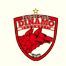   dinamo 