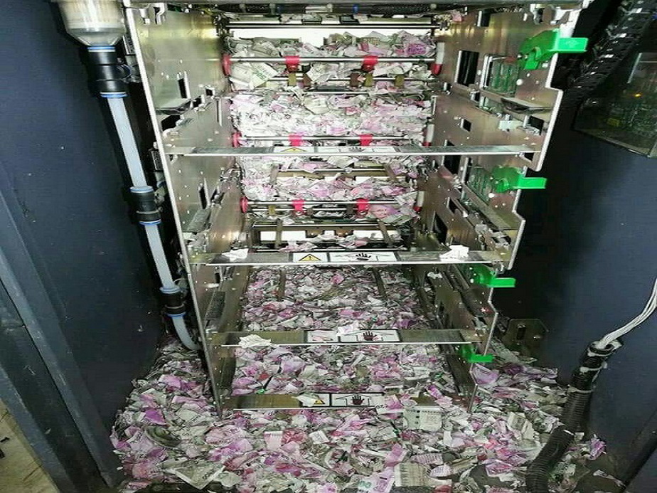 Bancomat atacat de șoareci » Au ros bancnote de peste 18.000 de dolari!