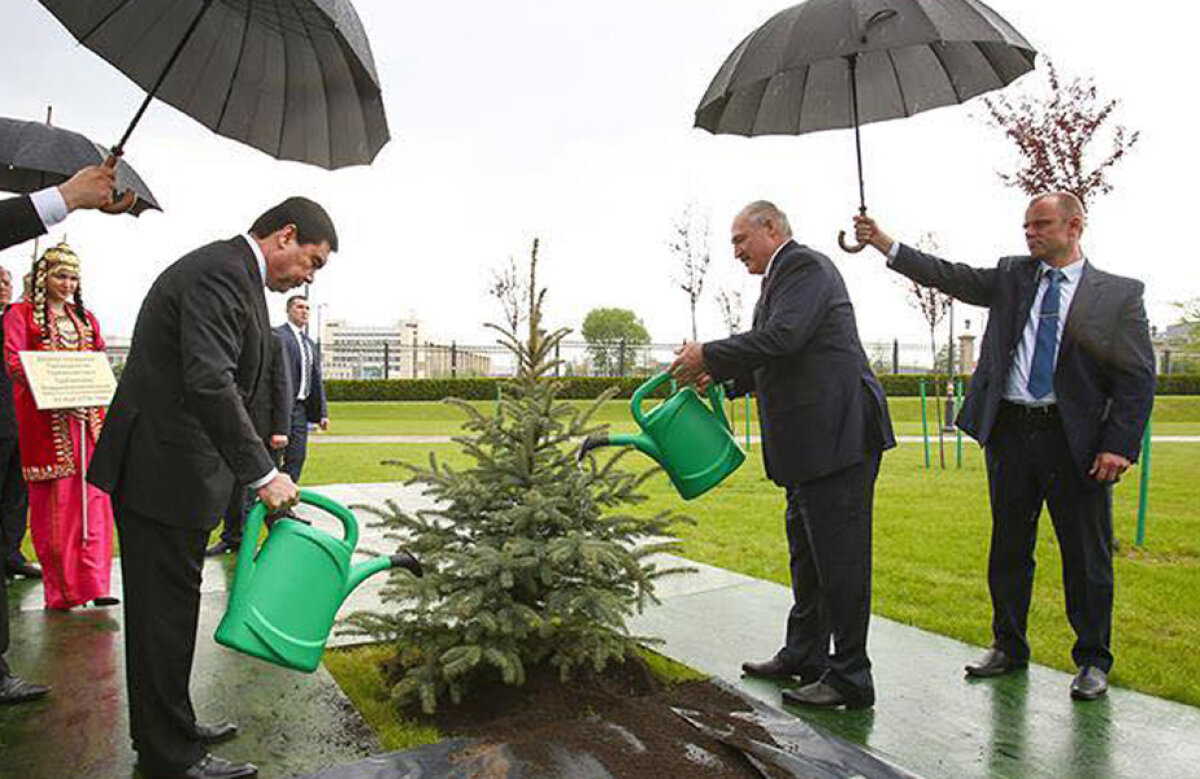 Медведев поливает елку