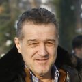 Gigi Becali, Becali, Steaua