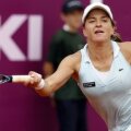 dulgheru