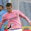 Chiar dacă pleacă de la Palermo, Goian poate rămîne în Serie A