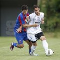 Steaua - Comercial