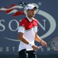 Victor Hănescu a cîștigat 19.000 de dolari pentru participarea în primul tur de la US Open