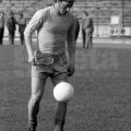 Nicolae Dobrin