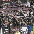 Suporteri Rapid